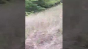 Мотоцикл Урал-2.1. угол подъема больше 40%