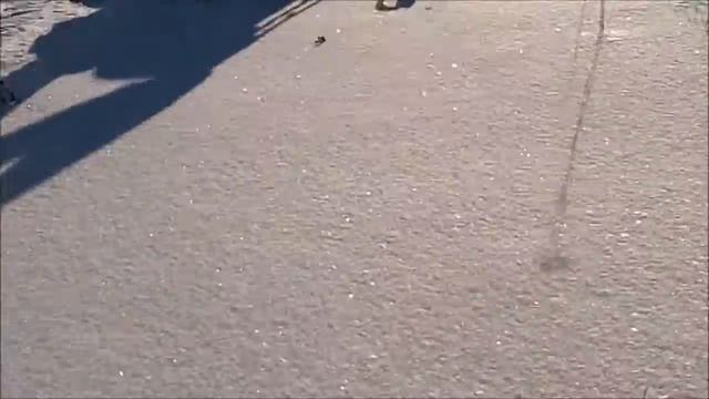 на самодельном снегоходе Кирилл катается в первый раз. смотреть онлайн