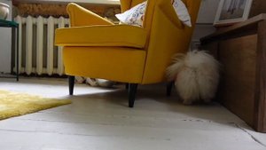 МЕНЯ ХОТЕЛИ ПОХИТИТЬ // КАССИ И БРЮС: ВЫРАСТИ ЛЮБОЙ ЦЕНОЙ