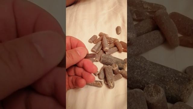 Как выглядит янтарь собранный на побережье посёлка Янтарный