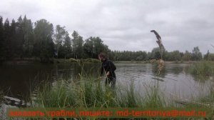 Поисковые грабли Жадина. Поисковые грабли для подводного и пляжного поиска. Обзор граблей для копа.