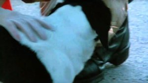 Miranda (1985) diretto da Tinto Brass con Serena Grandi