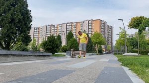 Францкзский бульдог на скейте (2 урок)