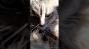 снег//ужин//новые фенечки//(5 месяцев назад)