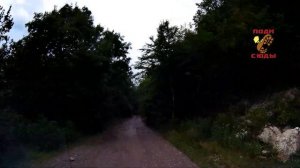 Дорога поселок Никитино - кордон Черноречье, Мостовской район, Краснодарский край
