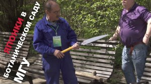 Как режут японские пилы Kataba Takagi и Zetsaw | Ботанический сад МГУ | Обзор и мнение дендролога