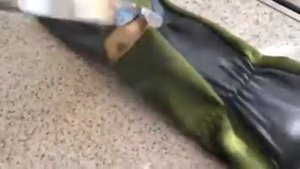Тест стрелковых перчаток с Номексом