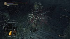 Dark Souls 3 Прохождение #42, Сумасшедший сундук и лягушачья засада