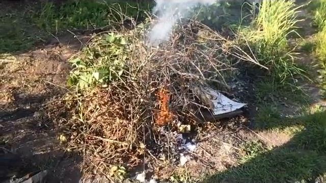 Бензин и костёр смотреть онлайн