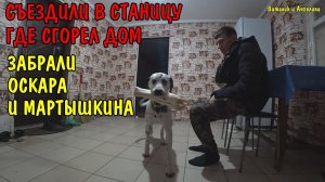 ЗАБРАЛИ СОБАКУ И КОШКУ В НОВЫЙ ДОМ / СЪЕЗДИЛИ В СТАНИЦУ ГДЕ СГОРЕЛ ДОМ / КУПИЛИ БОЛЬШОЙ ДОМ / ВЛОГ
