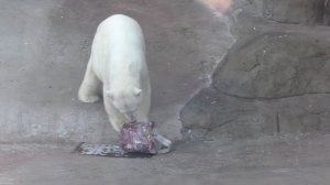 16. Второй день в  Москве. Планетарий, зоопарк, вещевой рынок, ВДНХ