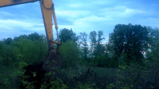 Корчевка пней гусеничным экскаватором JCB / stump