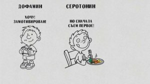 Как серотонин влияет на САМОДИСЦИПЛИНУ  Химия силы воли