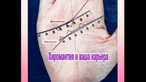 Хиромантия и карьера