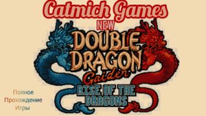 Double dragon gaiden rise of the dragons# Новый Double Dragon однояйцевые братья вернулись