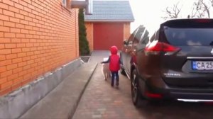 Вредина лайф. Алиса. В юном месяце апреле...