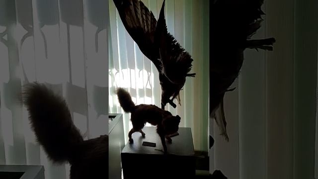 люблю свой край челябинская область смотреть онлайн