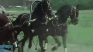 Тройка-птица.