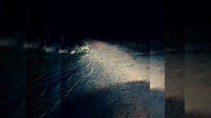 Шамси Табрезӣ