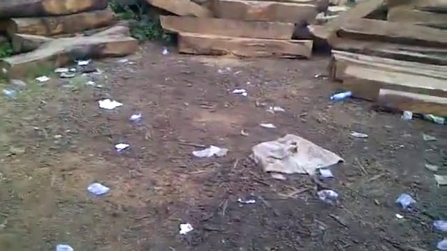 KOSSO WOOD (Scientific Name: Pterocarpus Erinaceus) смотреть онлайн