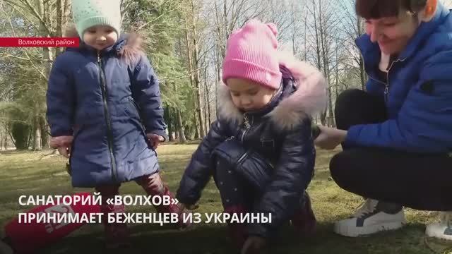 Ленобласть продолжает принимать беженцев из Украины