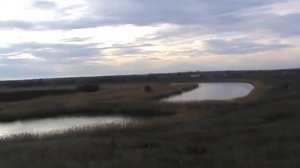 Романс " Пара  гнедых"