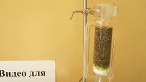 Экстракция из стеблей мяты перечной черной. Часть 2:экстракция