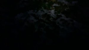 Эксперимент, в летнем  караване зимой   #caravanlife #караванинг #прицепдача #motorhome