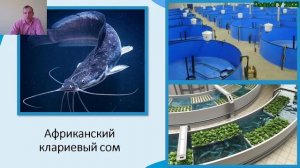 Онлайн-лекция введение в специальность "Промышленное рыбоводство".
