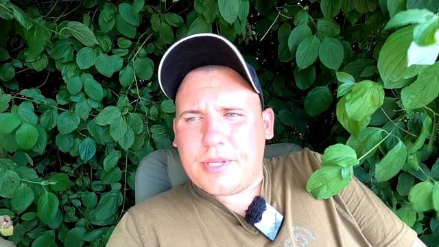 Тут всегда отличный клев. Ловля карпа летом в жару. Карпфишинг смотреть онлайн