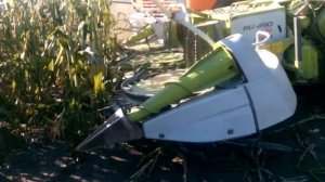 Кормоуборочный комбайн Jaguar 850 и жатка CLAAS RU 450 X-tra