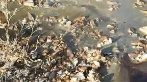 вулканический разлом Веселовка