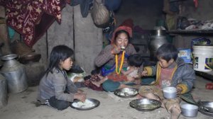 Myvillage official videos EP 340  || Daily life activities in village