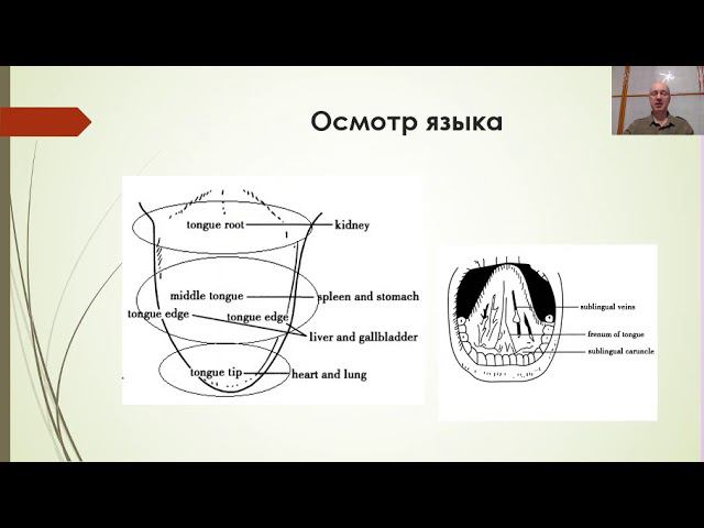 Гоголь И.А. Диагностика и пропедевтика традиционной китайской медицины. смотреть онлайн