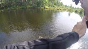 мормышинг на озере: мотыль или личинка