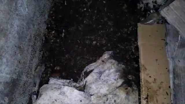 ПАН84 Вермиферма по разведению червей и получение биогумуса. Технология. Турция Германия