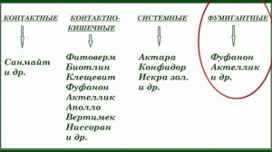 Борьба с вредителями на цветах, комнатных растениях. Выбираем пестицид.