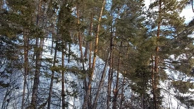 Мелодия весенней природы для расслабления  и отдыха