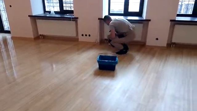 ЦИКЛЕВКА -  Финишная лакировка бамбукового паркета