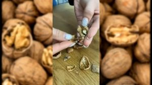Орехокол ручной (для грецкого ореха и фундука)