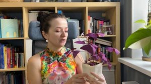 Мои любимые комнатные растения