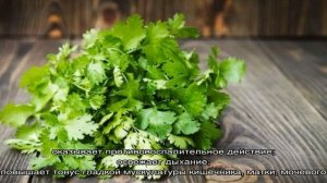 Полезные свойства петрушки для женщин