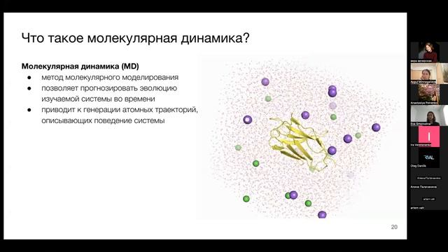 Структурная биоинформатика в иммунологии - Ева Смородина