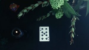 9 пик основное значение