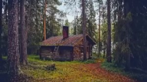 Странная избушка в глухой  тайге