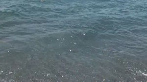 Палатка отдых в Рыбачьем. Крым.