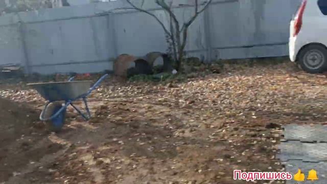 Строительство спортивной площадки своими руками дёшево и надёжно, с рыбой в пруду все отлично ? кои