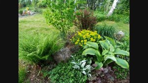 Сад в природном стиле или "натур гарден"