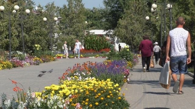 Орловка Орловский пруд Волгоградская область