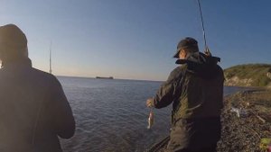 СУДАК НА "ТЕЙЛ СПИННЕР" В НИЗОВЬЯХ ВОЛГИ